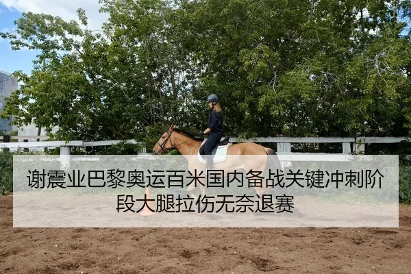 谢震业巴黎奥运百米国内备战关键冲刺阶段大腿拉伤无奈退赛